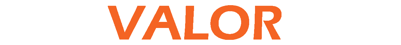 Logo Conlog